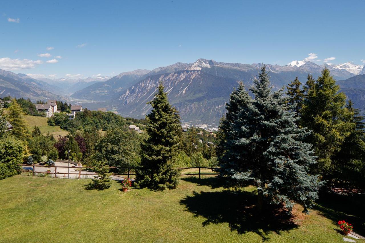 Magnifique Proche Du Centre Et Du *